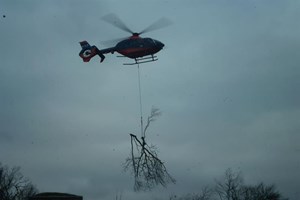 Helicopter tree extraction 