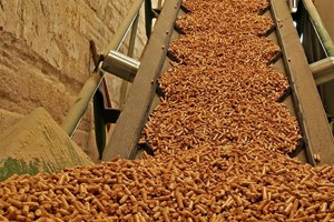 Government is cutting subsidies for biomass