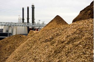 Brazil's largest biomass power plant